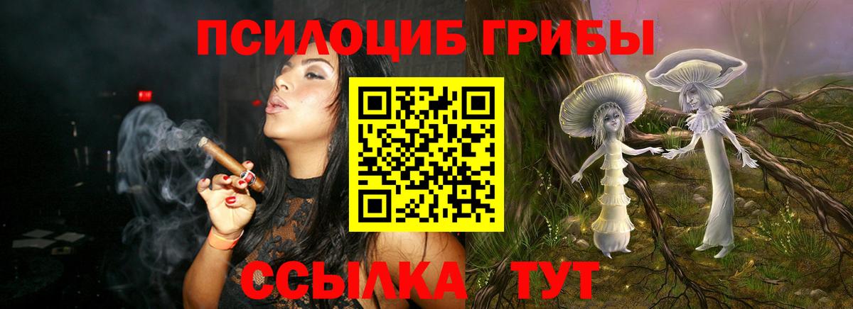 Галлюциногенные грибы GOLDEN TEACHER  Псилоцибиновые грибы Cubensis  Вход с VPN  Бердск 